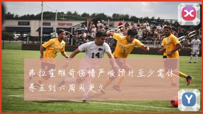 弗拉霍维奇伤情严峻预计至少需休养五到六周或更久
