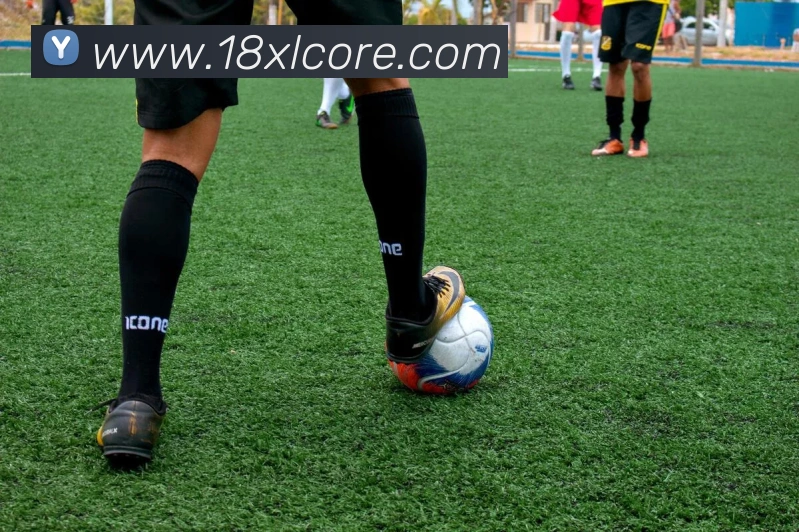 18新利发展历程